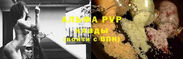 ПСИЛОЦИБИНОВЫЕ ГРИБЫ Пересвет