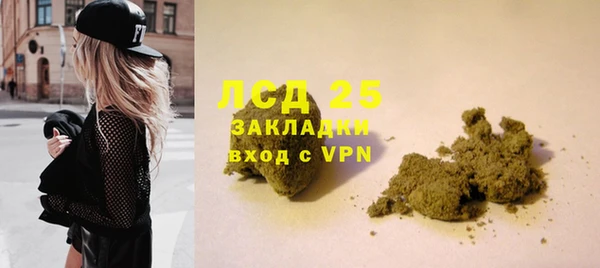 ПСИЛОЦИБИНОВЫЕ ГРИБЫ Пересвет