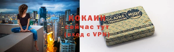 ПСИЛОЦИБИНОВЫЕ ГРИБЫ Пересвет