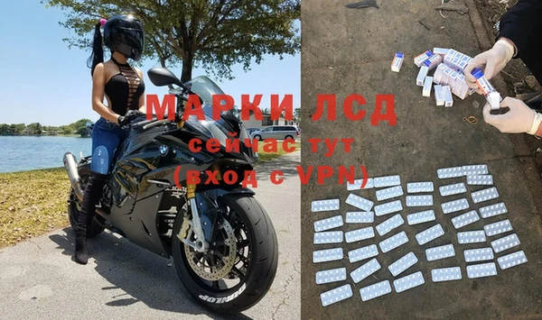 ПСИЛОЦИБИНОВЫЕ ГРИБЫ Пересвет