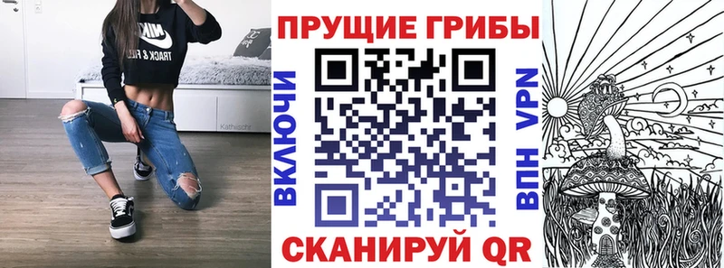Купить закладки  Сосенский  Псилоцибиновые грибы ЛСД 